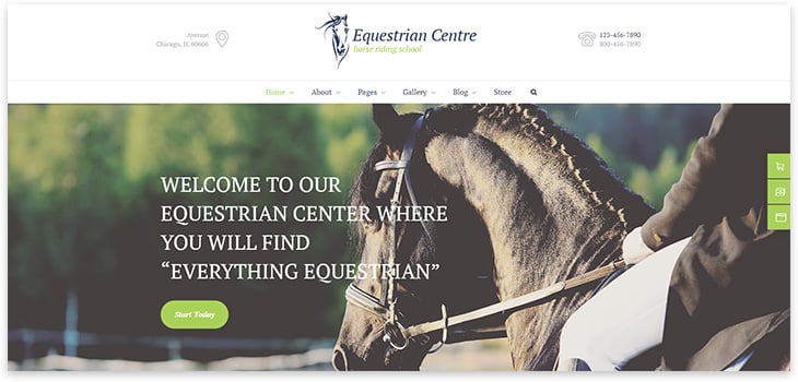 horse wordpress