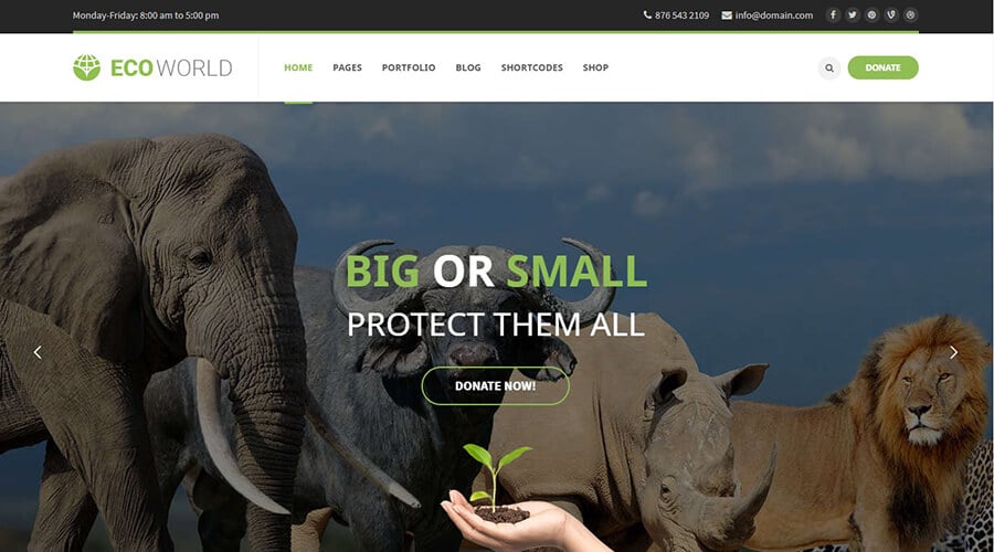 eco-world
